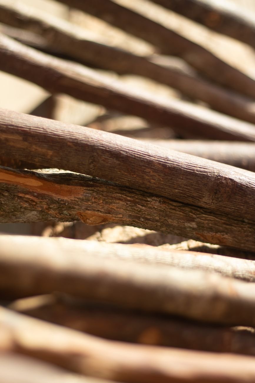 Close-up view of aligned wooden sticks showcasing natural wood texture in soft focus.